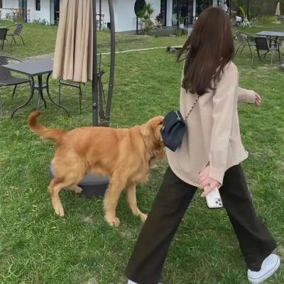 吸血鬼就在隔壁2